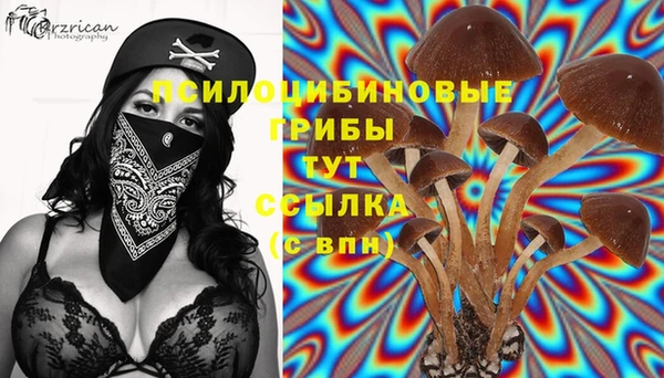 круглые Лагань