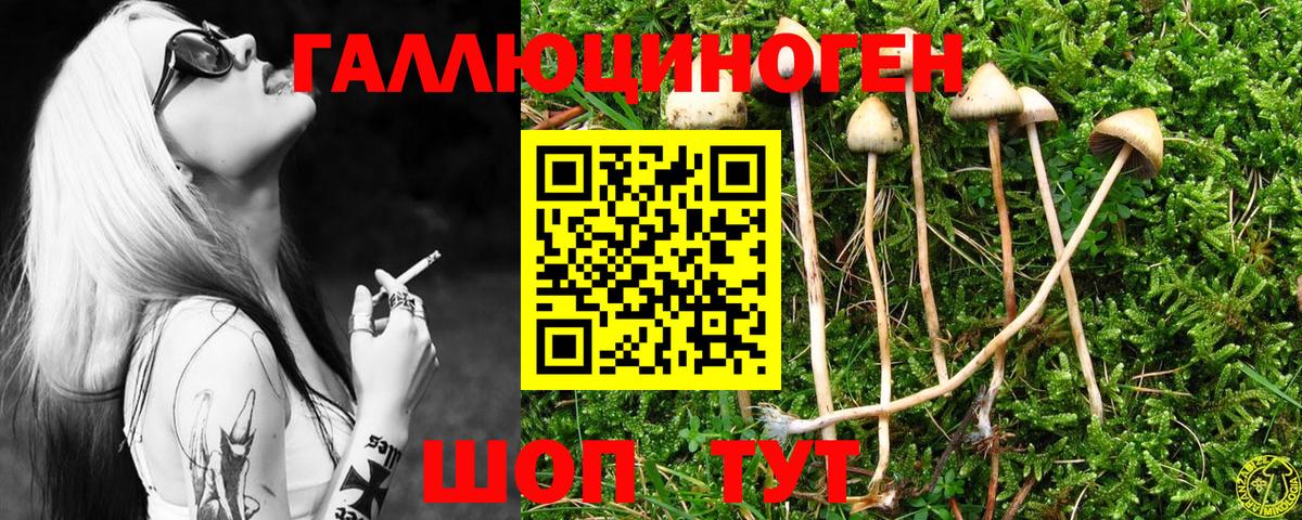 Холмск  Галлюциногенные грибы мухоморы  Вход с VPN 